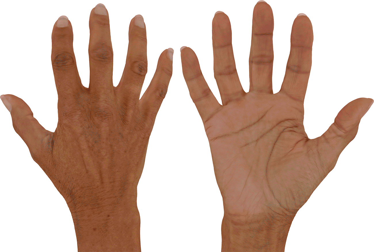 Hands Texture mapped